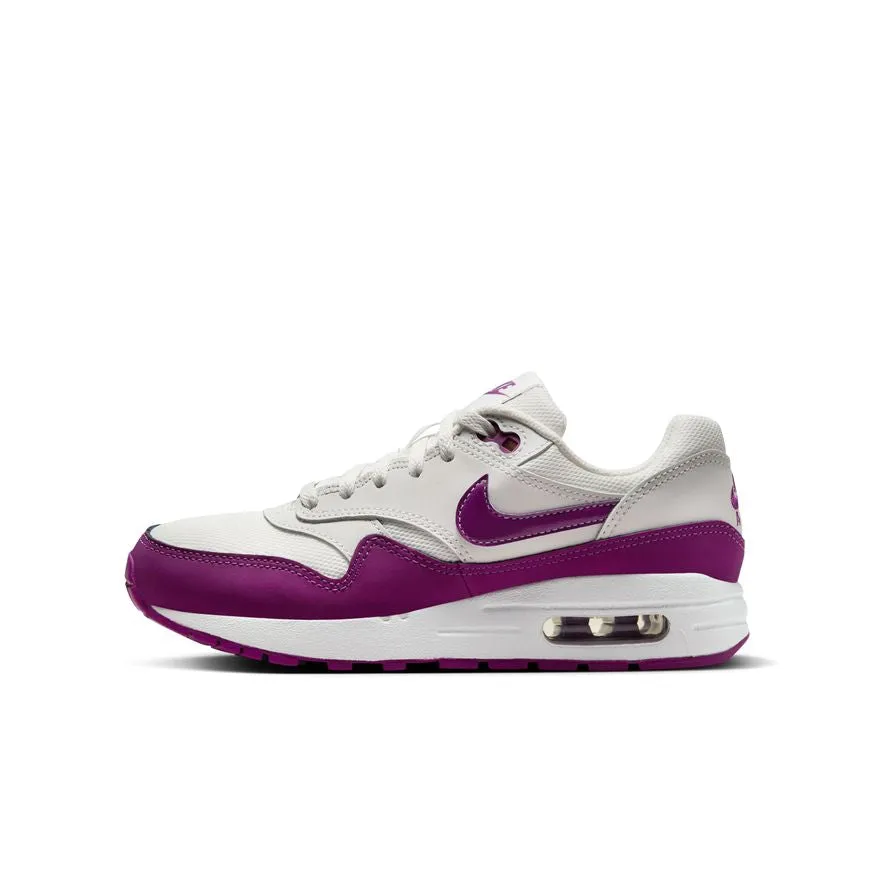 Air Max 1 DZ3307-109